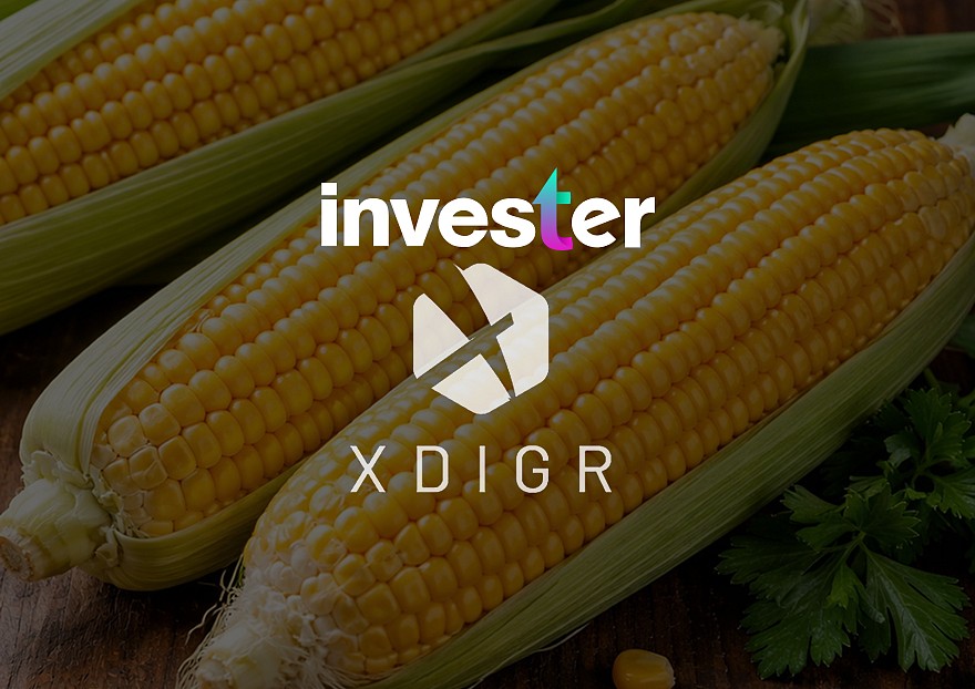 DLUHOPIS KUKUŘICE S VÝNOSEM 4,5 % ZA 3 MĚSÍCE